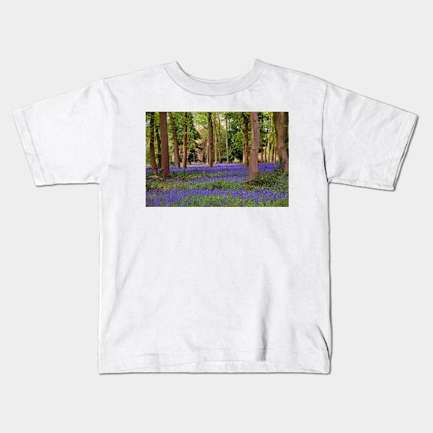 Bluebells Bluebell Woods Basildon Park Berkshire Kids T-Shirt by AndyEvansPhotos